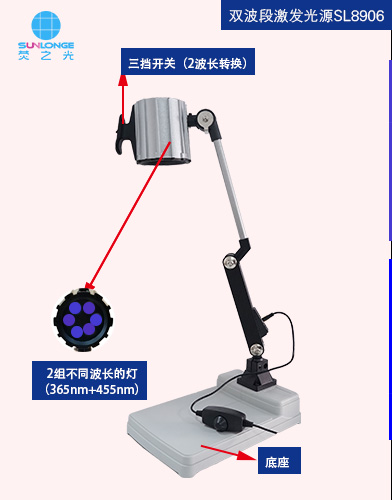 雙波段激發(fā)光源