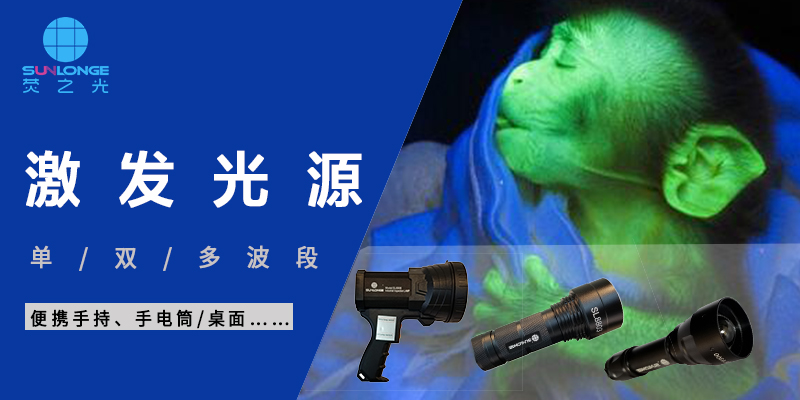 為什么有的物質(zhì)激發(fā)后能發(fā)出熒光，有的不能？