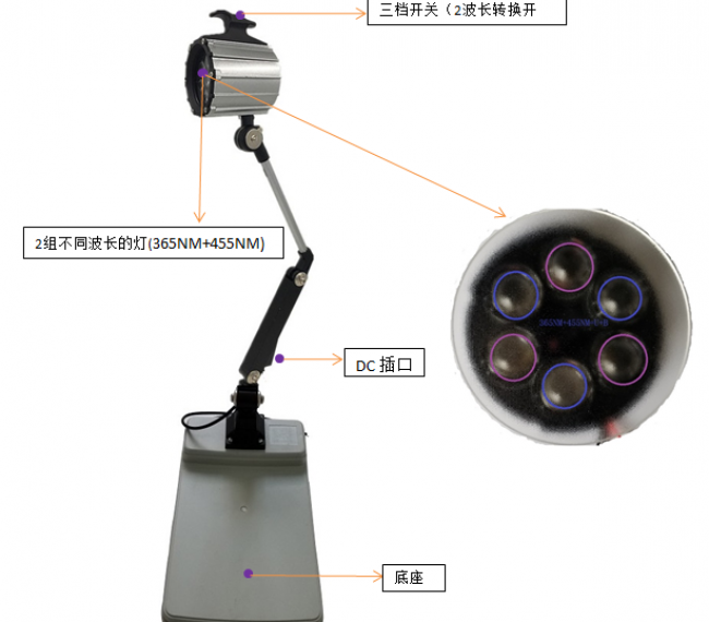 雙波長(zhǎng)顯微鏡熒光激發(fā)光源SLF8806