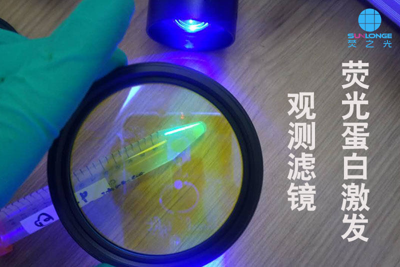 熒光蛋白觀測(cè)拍照濾鏡觀察GFP