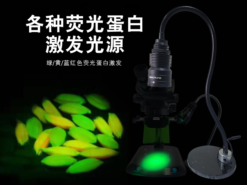 熒光蛋白激發(fā)