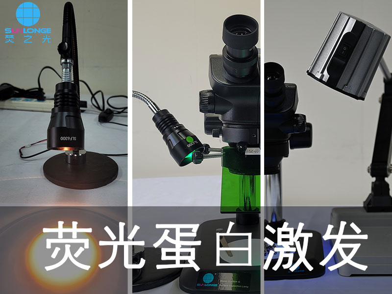 熒光蛋白激發(fā)